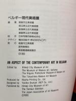 図録 ベルギー現代美術展 AN ASPECT OF THE CONTEMPORARY ART IN BERGIUM 1993-1994 姫路市立美術館