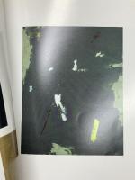 図録 ベルギー現代美術展 AN ASPECT OF THE CONTEMPORARY ART IN BERGIUM 1993-1994 姫路市立美術館