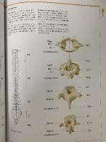 図録 人体の不思議展 MYSTERIES OF THE HUMAN BODY 2004 株式会社メディ・イシュ