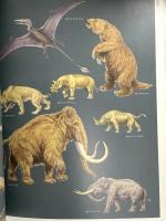 図録 いきもの図鑑 秋野四子吉の世界 2003 東方出版株式会社