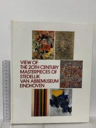 図録 ファン・アッベ美術館所蔵 変貌する20世紀絵画 1994-95 東京新聞