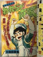 (15) 月刊少年マガジン 2月号 特大号 昭和55年2月1日発行 講談社 柳沢きみお 矢口高雄 三浦みつる