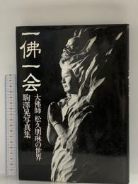 一佛一会: 大佛師松久朋琳の世界 日本教文社 駒澤 晃