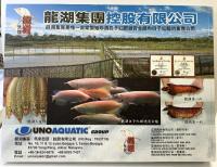 【中国書 】『INDO DRAGON7』龍湖集團控股有限公司 （DVD付）