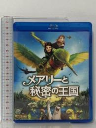 メアリーと秘密の王国 20世紀フォックスホームエンターテイメント アマンダ・セイフライド [Blu-ray]