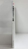 大相撲力士カラー名鑑 1995詳細プロフィール付 ベースボールマガジン社 1995年