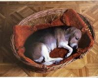 図録 ドゥエン・ハンソン展 DUANE HANSON 1984年 朝日新聞社