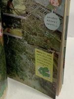 (10) 6年の科学 6月教材 理科・算数 1982年発行 学習研究社 植物どうしの関係 分数のわり算
