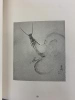 【図録】龍神百態 村田書店（東京都）對馬白龍 昭和55年