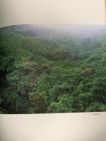 図録 松伯美術館と佐紀・佐保路えお訪ねて 松園・松篁・淳之 求龍堂グラフィックス 足立龍太郎 求龍堂