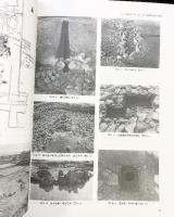 発掘庭園資料 奈良国立文化財研究所（第48冊）1998年