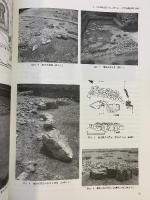 発掘庭園資料 奈良国立文化財研究所（第48冊）1998年