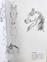 【図録】馬を描く 劉生展：画 殷占堂：編 美術出版社 1989年
