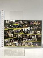 Amuse Presents The Game Boy's Film Show アミューズソフトエンタテイメント株式会社 三浦春馬 佐藤健 [DVD] 2枚組