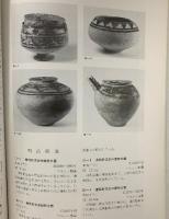 図録 ラピスラズリの路 1986 古代オリエント博物館 岡山市立オリエント美術館 堀 晄