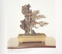 国風盆栽展 第50回 社団法人日本盆栽協会 昭和51年