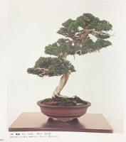 国風盆栽展 第50回 社団法人日本盆栽協会 昭和51年