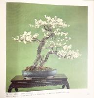 国風盆栽展 第51回 社団法人日本盆栽協会 昭和52年