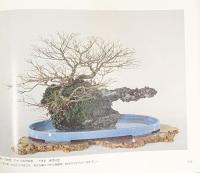 国風盆栽展 第51回 社団法人日本盆栽協会 昭和52年