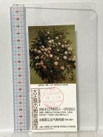 図録 写実の系譜2 大正期の細密描写 1986-1987 東京国立近代美術館