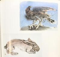 【図録】須田国太郎（須田国太郎展） 1981年 京都国立近代美術館 KBS京都 発行：京都新聞社