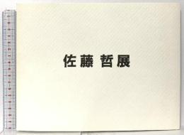 図録 佐藤哲展 1996