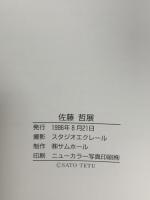 図録 佐藤哲展 1996