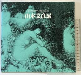 【図録】山本文彦展 1992年 （財）美術文化振興協会 朝日新聞社 第10回宮本三郎記念賞