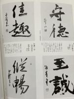 図録 色紙 短冊の書き方 漢字・調和体 成瀬英山編 1988 二玄社