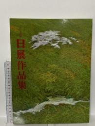図録 第三十四回 日展作品集 2002 社団法人 日展
