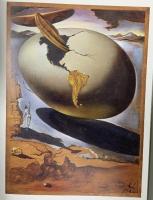 図録 生誕100年記念 ダリ展 創造する多面体 2007 中日新聞社 モンセ・アゲール・イ・テシドール