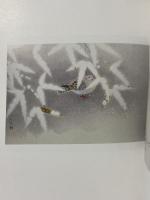 図録 近代日本画の系譜 明治から平成まで 山種美術館名品展 2004 山陽新聞社 岡山県立美術館