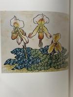 図録 染芸 皆川月華 京都書院 梅原猛 田近憲三