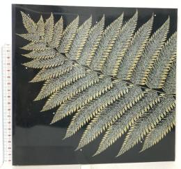 図録 第二十六回 日本伝統漆芸展 2009 西武百貨店 社団法人日本工芸会