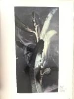 図録 岡田修二 －モネ・水の記憶－2007 大原美術館 柳沢秀行