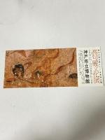 図録 麗しの古代美 高句麗文化展 悠久の時を超えて 世界初公開 高句麗文化展実行委員会