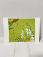 図録 箱崎睦昌 襖絵展 信貴山・玉蔵院奉納記念 1996 株式会社アートワン  内山 武夫