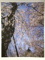 京都桜百景 (SUIKO BOOKS 140) 光村推古書院 橋本 健次