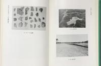 龍角寺ニュータウン遺跡群（千葉県） 龍角寺ニュータウン遺跡調査会・日本考古学研究所 1982年