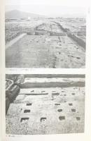 大福遺跡（奈良県）奈良県史跡名勝天然記念物調査報告（第36冊）奈良県教育委員会 奈良県立檀原考古学研究所 昭和53年