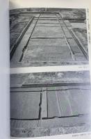 池島遺跡発掘調査概要（4）-八尾市福万寺所在-（大阪府）大阪府教育委員会 1989年