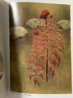 図録 山口華楊と録 山口華楊と晨鳥社の人びと 1994 日本経済新聞社 東武美術館