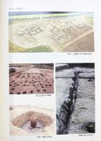 日本住宅公団藤枝地区埋蔵文化財発掘調査報告書(3) （静岡県）-奈良・平安時代編- 藤枝市教育委員会 藤枝市土地開発公社 1981年