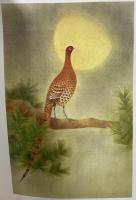 図録 上村淳之 花鳥画自選展 1985年 株式会社大丸