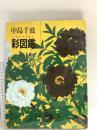 図録 中島千波 彩図鑑 2004 求龍堂