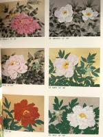 図録 中島千波 彩図鑑 2004 求龍堂