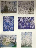 図録 中島千波 彩図鑑2 2005 求龍堂