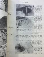 帝塚山考古学（NO.5） 昭和60年 帝塚山考古学研究所