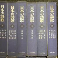 日本の詩歌 29冊 セット 不揃い 中央公論社 俳句 短歌 詩集 歌唱集 北原白秋 石川啄木 佐藤春夫 他