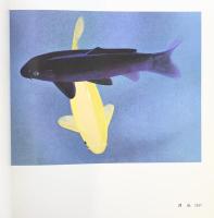 【図録】室井東志生個展 1983年 シライシ画廊 室井東志生